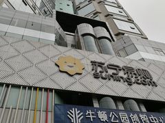 -苏宁易购(Suning Pro南京山西路店)