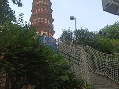 -中山公园(石岐街道)