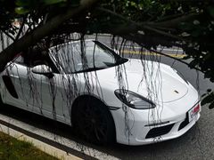 -超跑熊跑车俱乐部