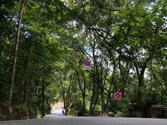 -南岳衡山风景名胜区-南岳大庙