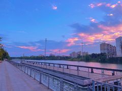 -泰州凤城河风景区-泰山公园