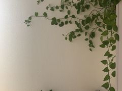 -星美科技皮肤管理中心(国贸店)