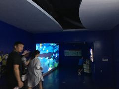-重庆欢乐海底世界