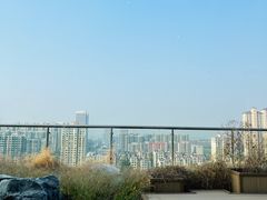 -Seesaw Coffee(朝阳大悦城店)