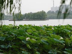 -济南大明湖景区