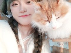 -猫的茶·猫咖