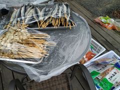 -田园东方蜜桃村的田野营地