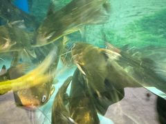 -食理八湘(中海城风情苑北区店)