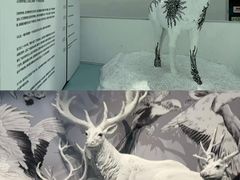 -中国湿地博物馆