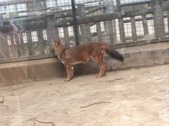 -昆明动物园