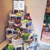 丛火咖啡｜珠海金湾最好喝的咖啡馆