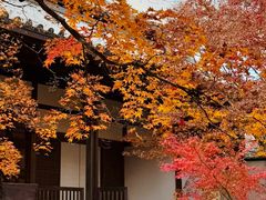 -常寂光寺