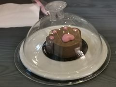 -喵屿·大理花园猫咖
