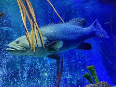 -沈阳海洋探索中心