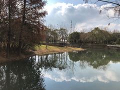 -尚贤河湿地