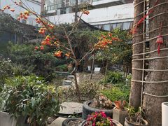 -田园印象·成都土菜院子(华阳店)