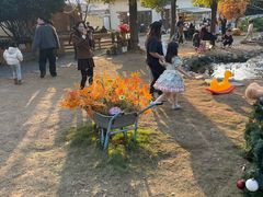 -HERRE·FARM 赫尔露营农场·团建聚会包场