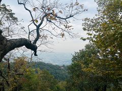 -灵顺寺