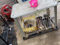 -马陆小张葡萄园农家乐