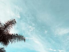 -东风公园