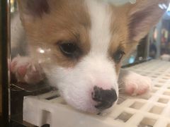 -乐宠宠物店(世纪金源店)