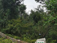 -岳麓山风景名胜区