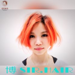 点击看大图 -CARR SALON