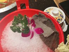 -大龙燚火锅(南山大道店)