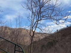 -京东石林峡风景区
