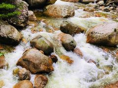 -青峰峡国家森林公园