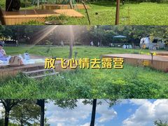-海珠湖公园