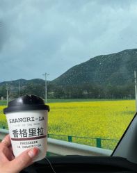 -纳帕海依拉草原