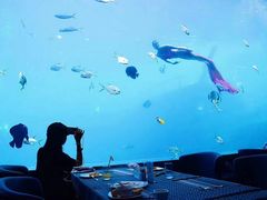 -瑞德姆美人鱼海底演艺主题餐厅(亚龙湾店)