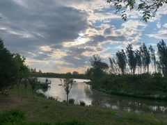 -东郊湿地公园