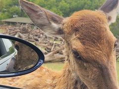 -常州淹城野生动物世界