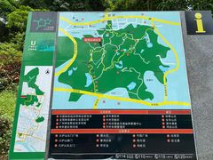 -火炉山森林公园