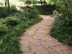 -成都市活水公园