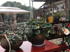 -漫渡庄绿岛花园•隐世庭园菜(滨湖店)