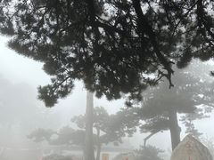 -妙峰山风景名胜区