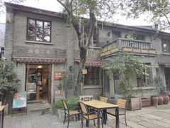 -两棵枇杷树