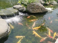 -罗红摄影艺术馆