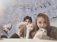 -天空花园餐吧·生日·团建(南山店)