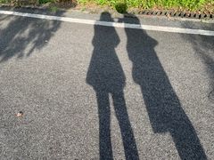 -广东花都湖国家湿地公园