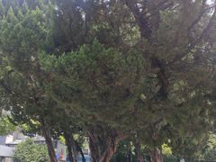 -郑和公园