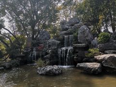 -东莞植物园