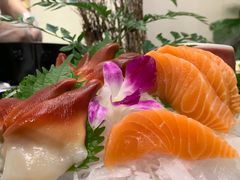 三文鱼，北极贝-日进一片海.生腌海鲜火锅.宵夜烧烤(三里屯总店)