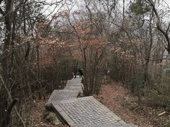 -紫金山天文台