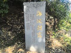 -江心屿景区