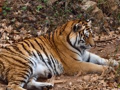 -昆明动物园