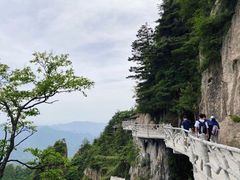 -老君山风景名胜区